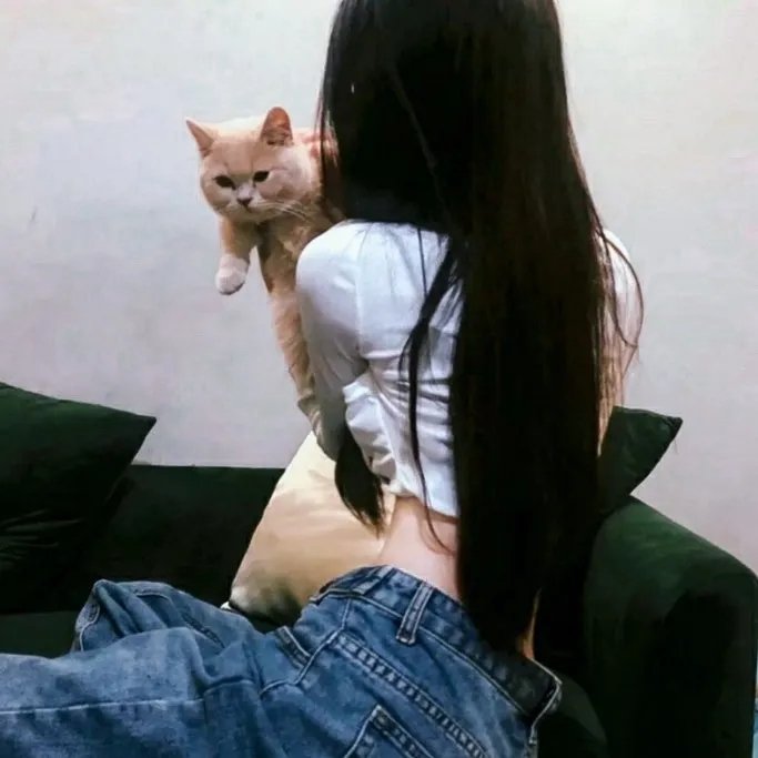 美人鱼